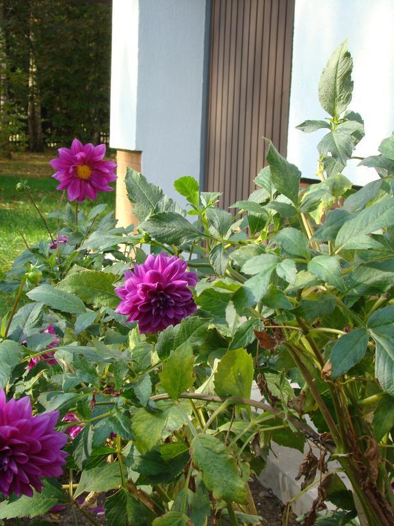 Bobrowa Dolina Bed & Breakfast Ryn  Exterior photo