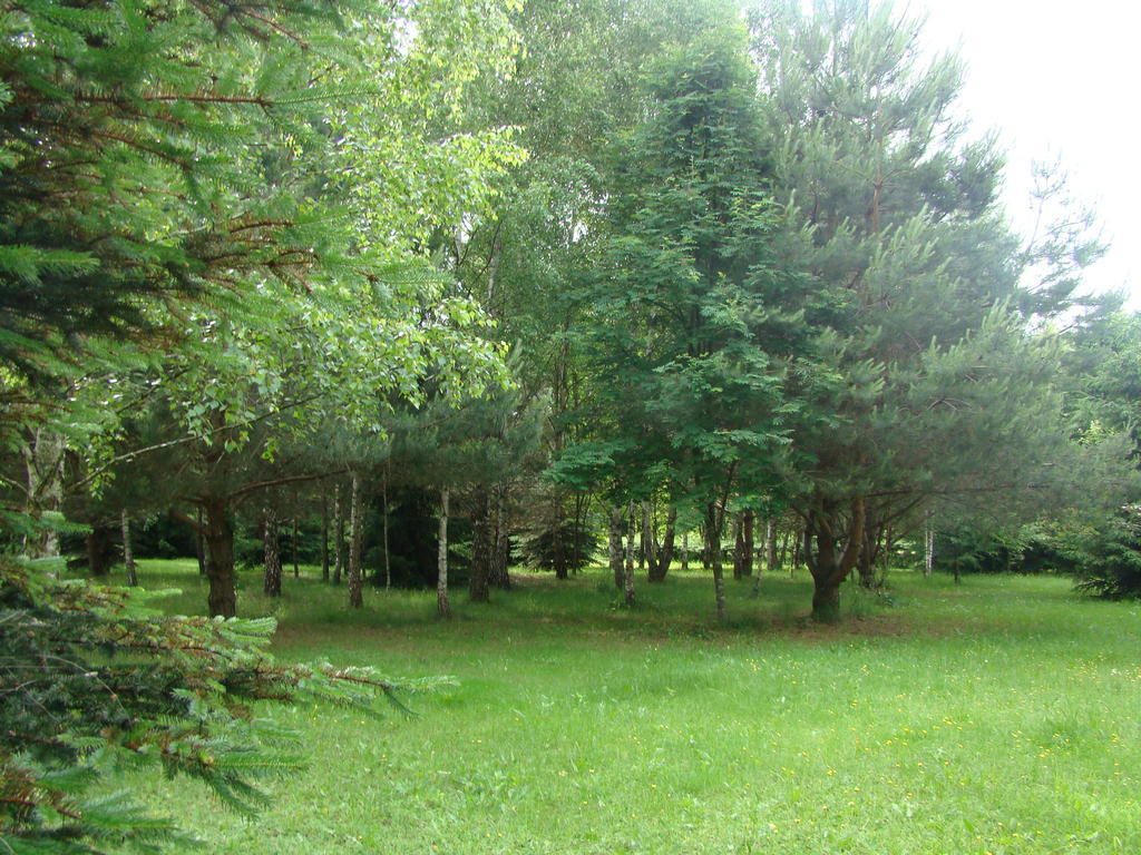 Bobrowa Dolina Bed & Breakfast Ryn  Exterior photo